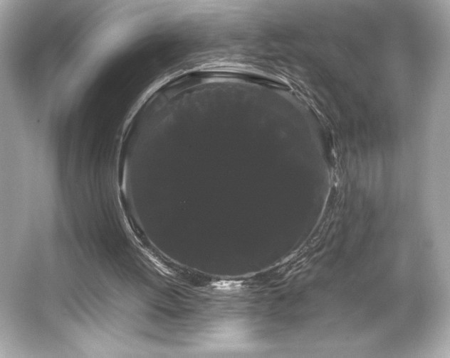 X0000066500052200603201334