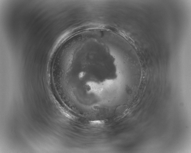 X0000066500053200603201334