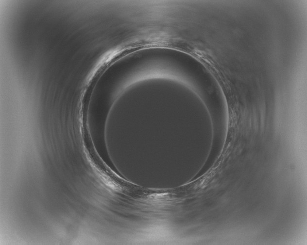 X0000066500054200603201334