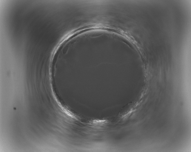X0000066500055200603201334
