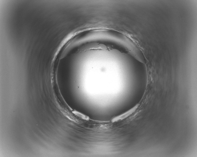 X0000066500056200603201334