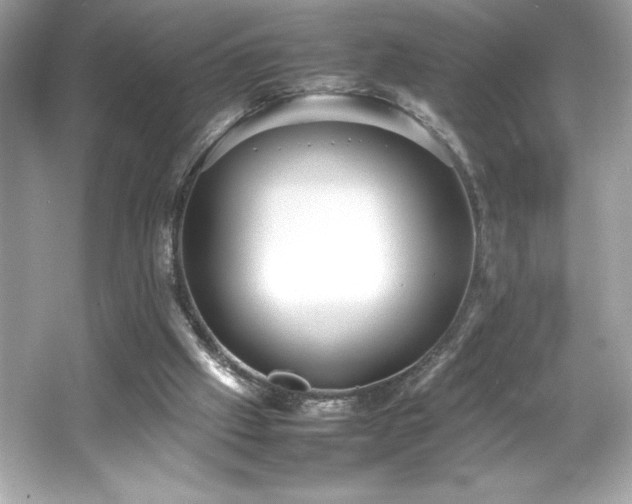 X0000066500057200603201334