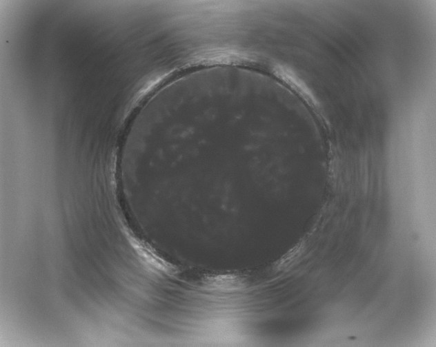 X0000066500058200603201334