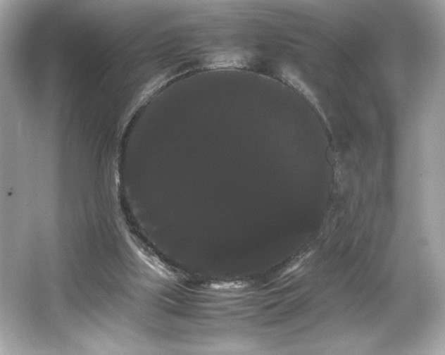 X0000066500059200603201334