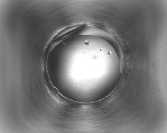 X0000066500060200603201334