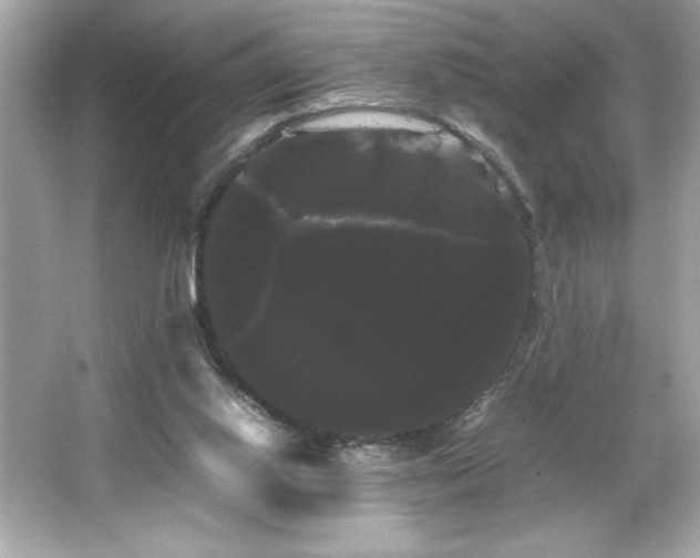 X0000066500062200603201334