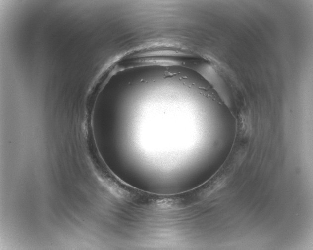 X0000066500064200603201334
