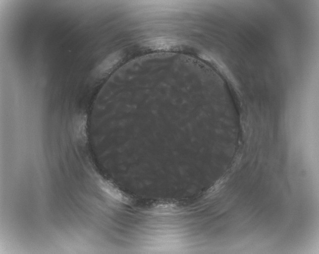 X0000066500066200603201334