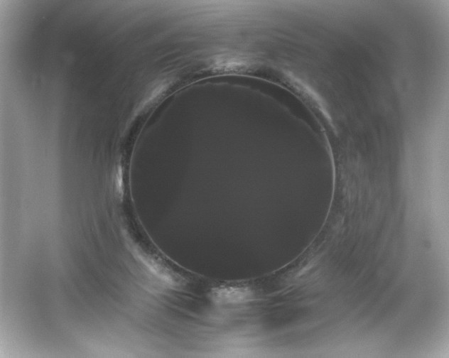 X0000066500067200603201334