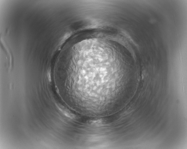 X0000066500068200603201334