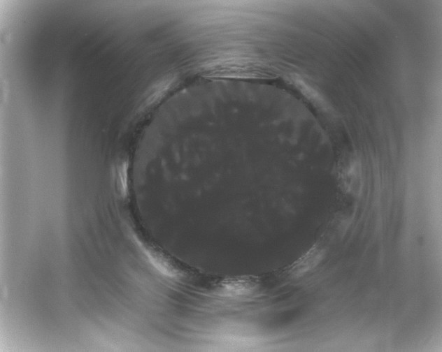 X0000066500070200603201334