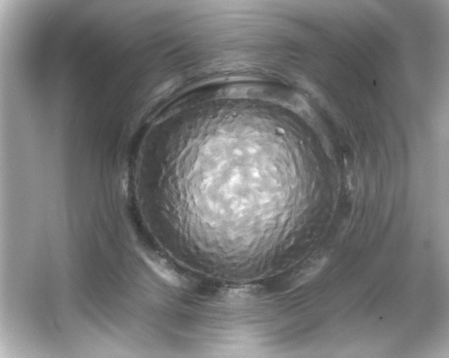 X0000066500072200603201334