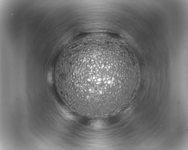 X0000066500074200603201334