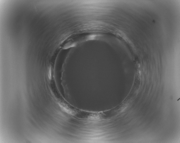 X0000066500076200603201334