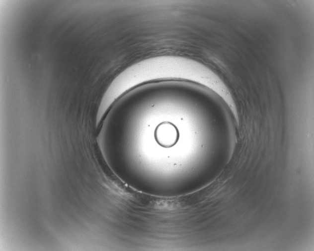 X0000066500077200603201334