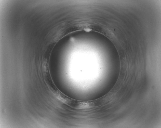 X0000066500083200603201334
