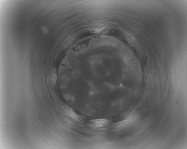 X0000066500085200603201334