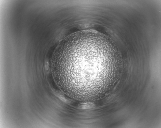 X0000066500087200603201334