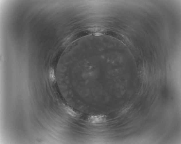 X0000066500089200603201334