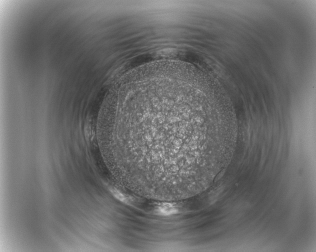 X0000066500091200603201334