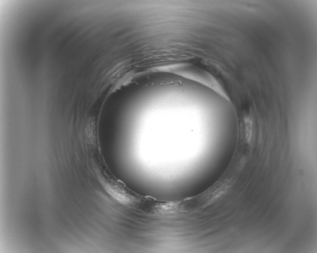 X0000066500092200603201334