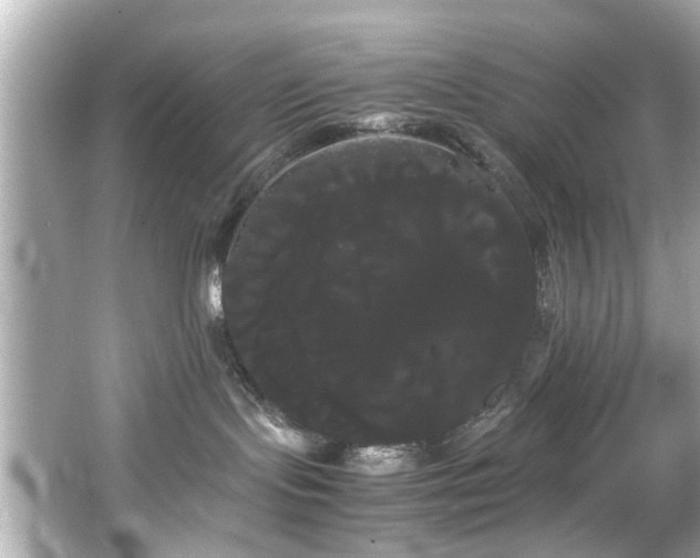X0000066500095200603201334
