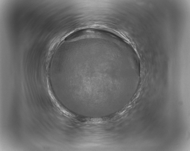 X0000066500097200603201333