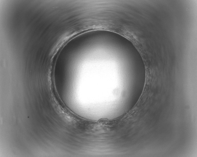 X0000066500098200603201333