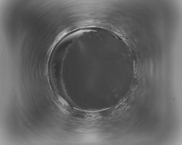 X0000066500099200603201333