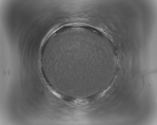 X0000066500101200603201333