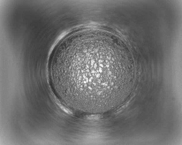 X0000066500102200603201333