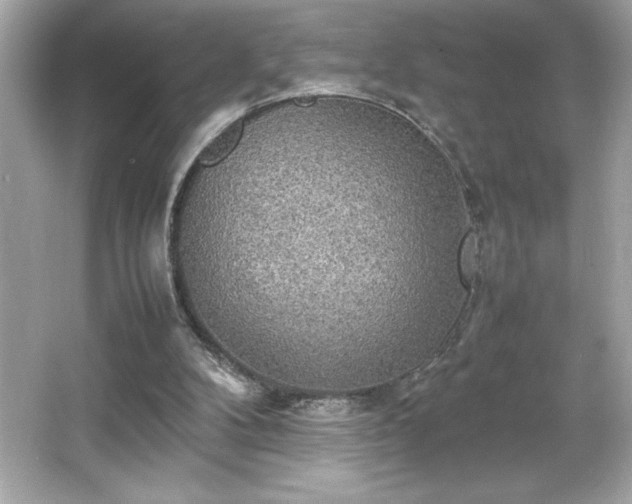 X0000066500104200603201333