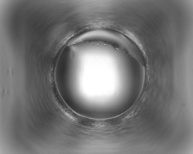 X0000066500105200603201333