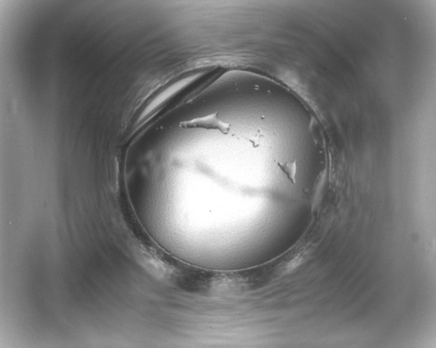 X0000066500109200603201333