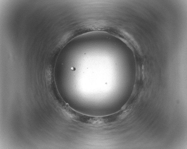 X0000066500113200603201333