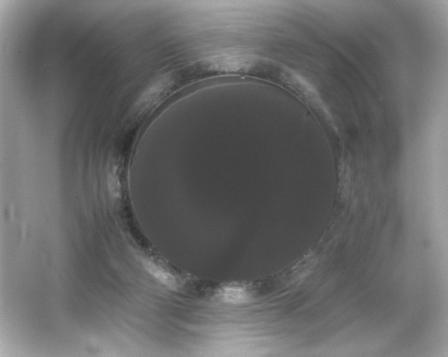 X0000066500114200603201333
