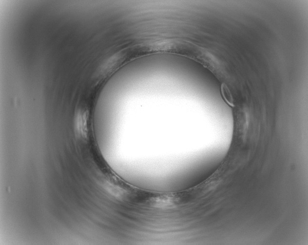 X0000066500118200603201333