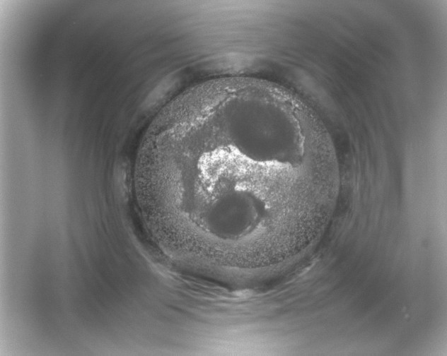 X0000066500119200603201333