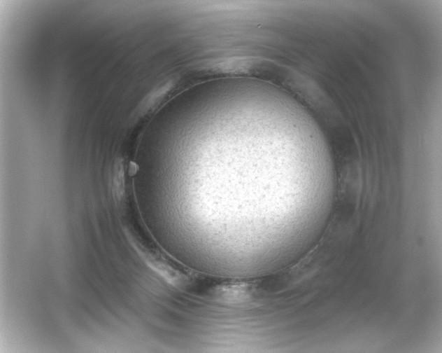 X0000066500120200603201333