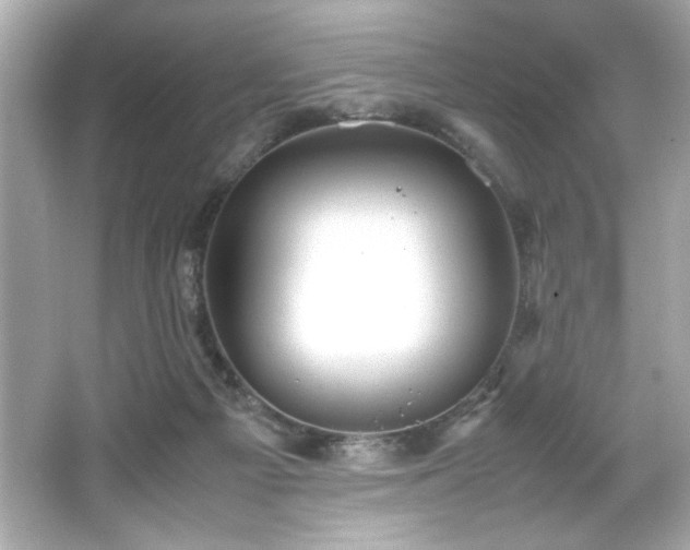 X0000066500121200603201333