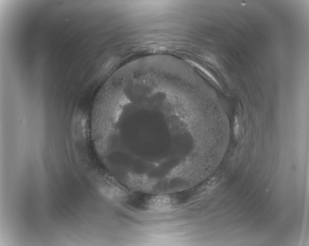 X0000066500123200603201333