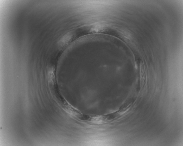 X0000066500127200603201333