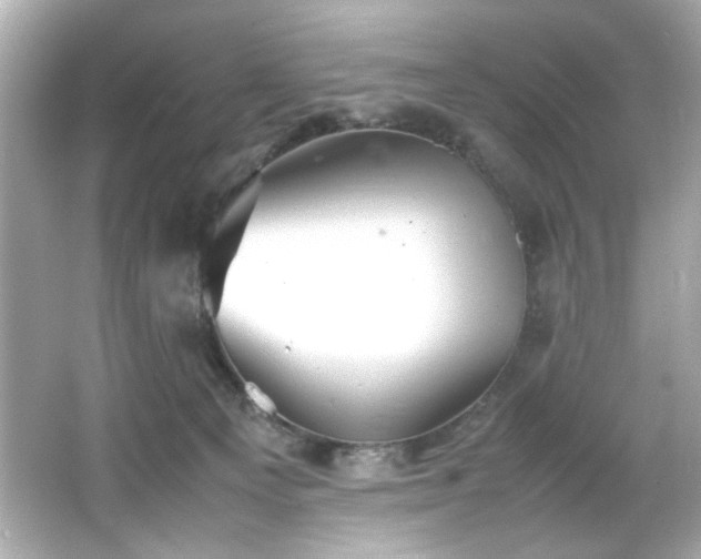 X0000066500129200603201333