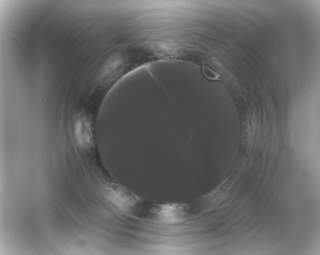 X0000066500130200603201333