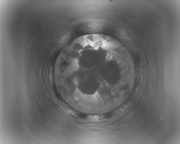 X0000066500131200603201333