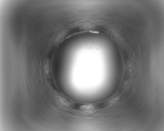 X0000066500133200603201333