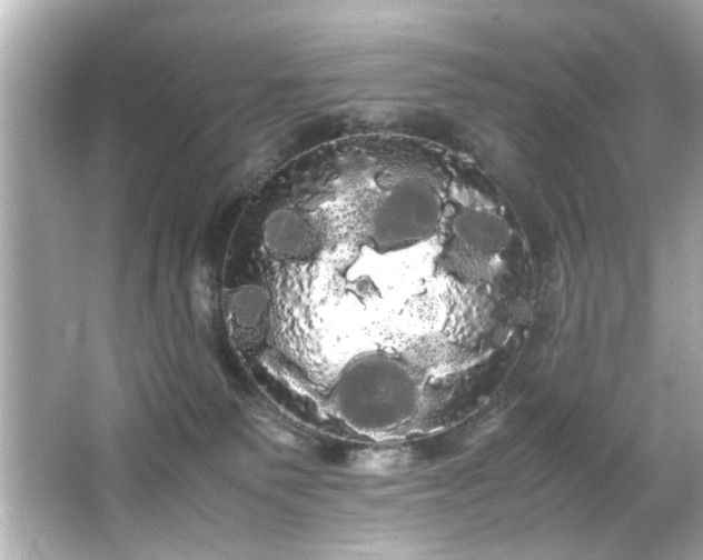X0000066500135200603201333