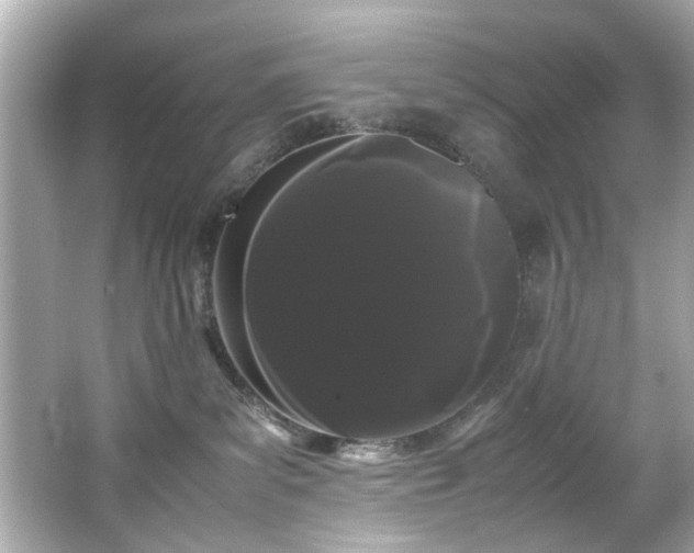 X0000066500139200603201333