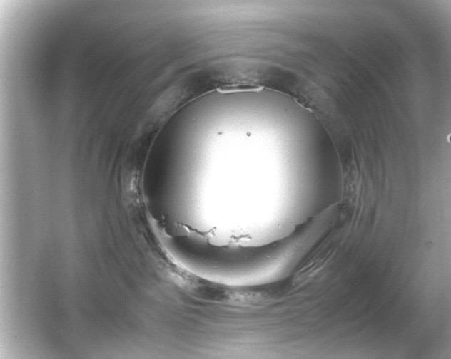 X0000066500141200603201333