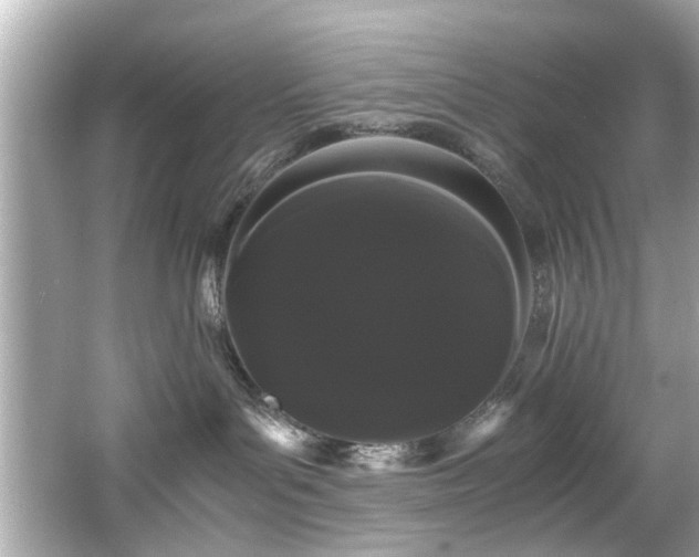 X0000066500143200603201333